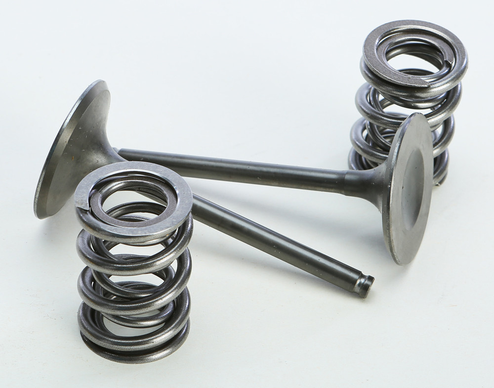 Pro X 28.SIS4409-2 Steel Valves and Spring Kits