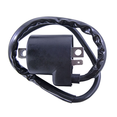 RM Stator RM06035 Ignition Coil