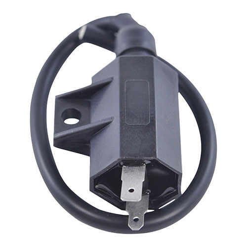 RM Stator RM06030 Ignition Coil
