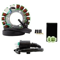 RM Stator RMS900-107583 200W High Output Stator Kit Stator + CDI + Box + Igni...