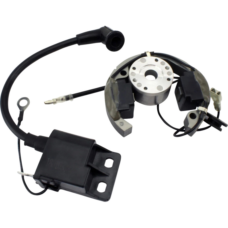 RM Stator RMS900-107608 Stator/Flywheel/Ignition Coil Kit