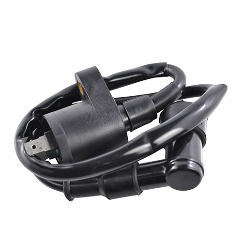 RM Stator RM06001 Ignition Coil