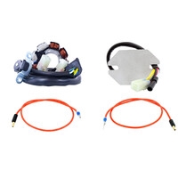 RM Stator RMS900-104238 40W AC/DC Stator Lighting Kit Stator + Regulator + Pi...