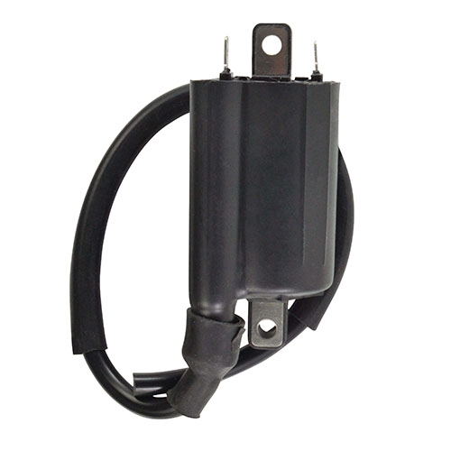 RM Stator RM06163 Ignition Coil