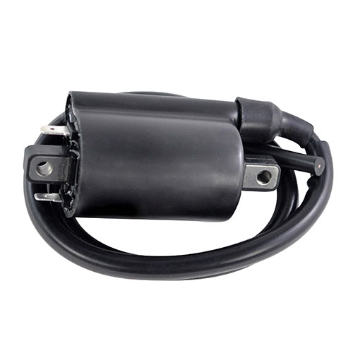 RM Stator RM06176 Ignition Coil