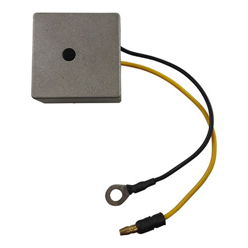 RM Stator RM03800 Universal Heavy Duty Ac Voltage Regulator