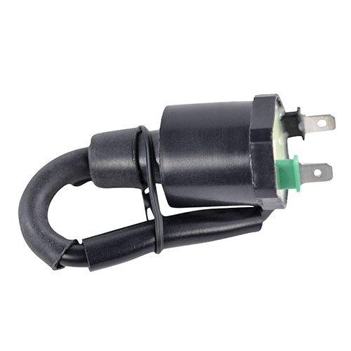 RM Stator RM06172 Ignition Coil