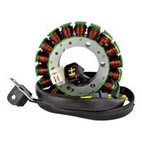 RM Stator RM01047 High Output Stator 250W Stator + Pickup Coil